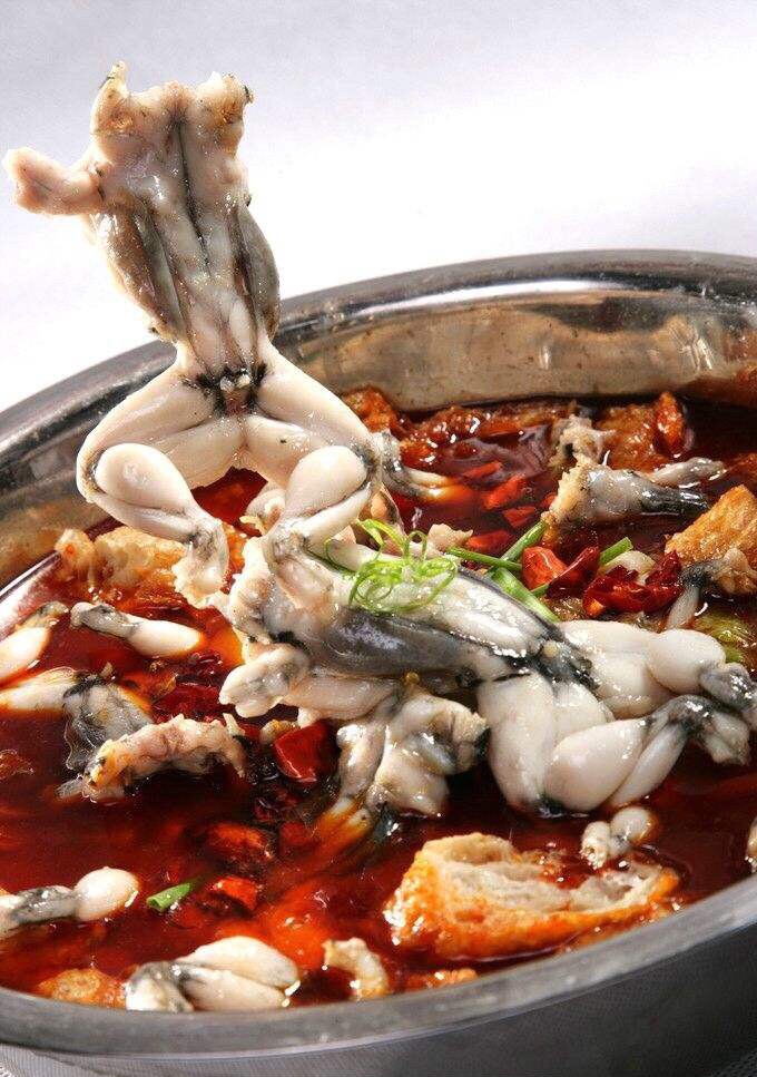 吃青蛙啦,快点啦,在南外