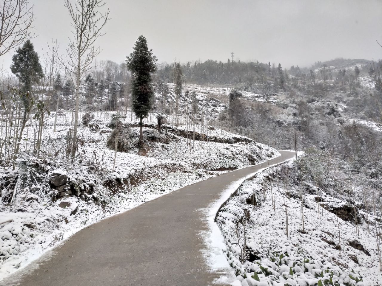 巴山大峡谷雪景 - 今日达州 - 凤凰山下 - powered by