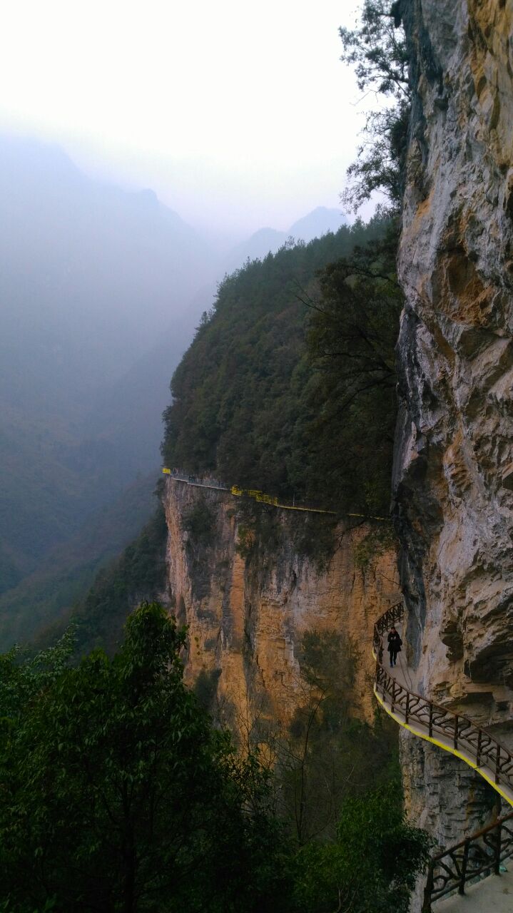 巴山大峡谷的山,谷,洞(超多图)