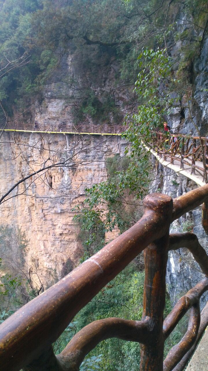 巴山大峡谷的山,谷,洞(超多图)