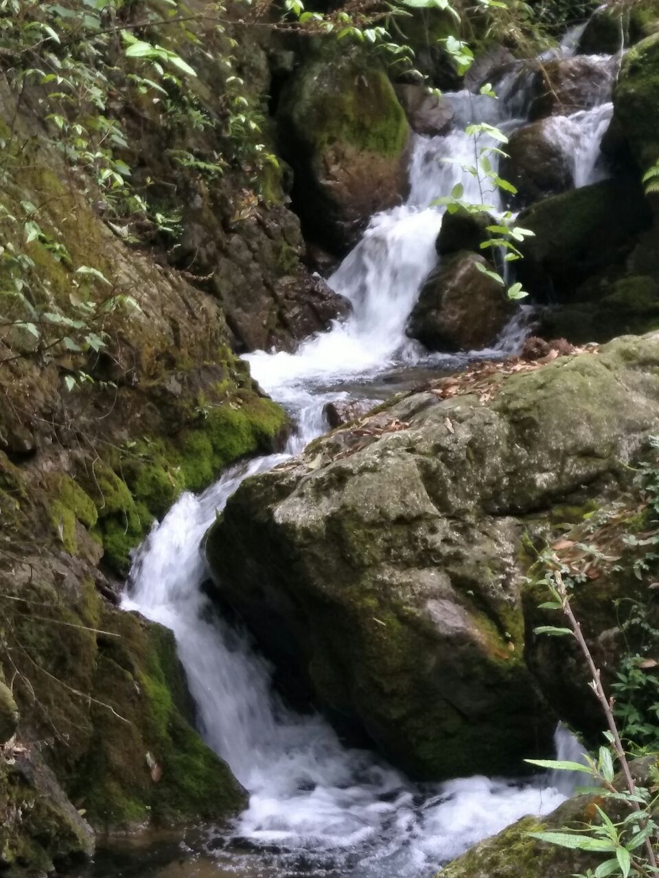 四川乡情文化万源大竹河的春天