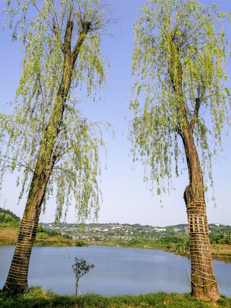 梨树坪湿地公园漂不漂亮你说了算