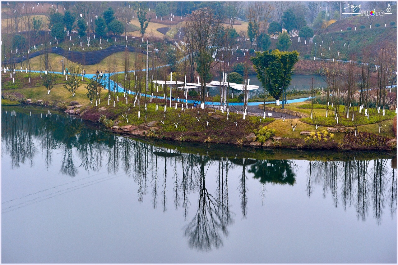 莲花湖再添新景