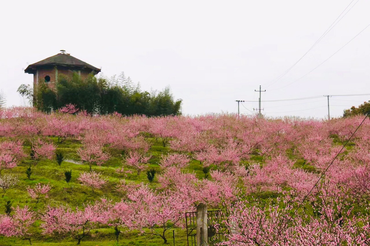 渠县文崇谭坝村桃花源记