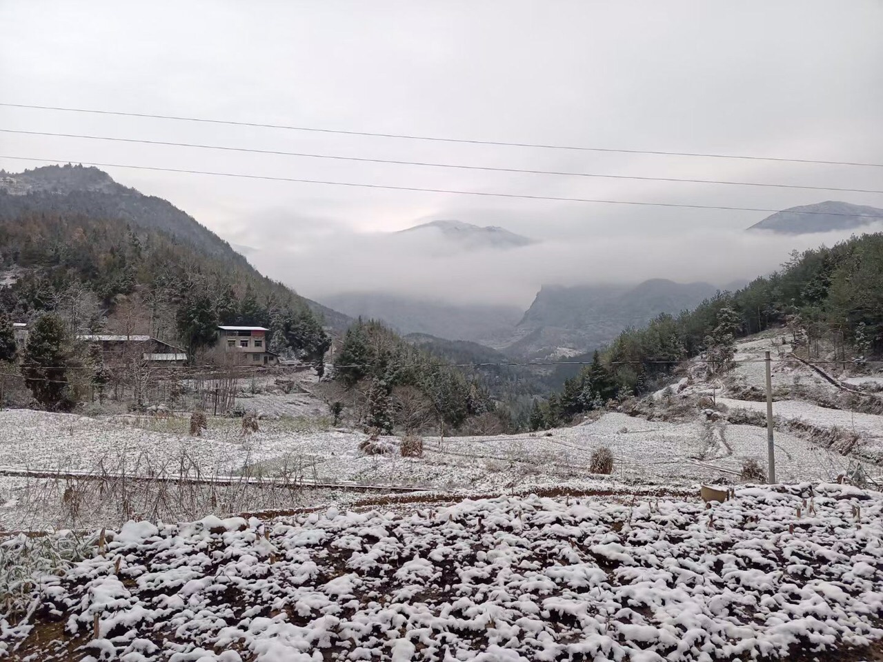 網友拍攝的大巴山雪景 巴山雪潤達州(組圖) - 今日